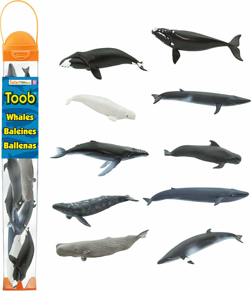 Whales TOOB®
