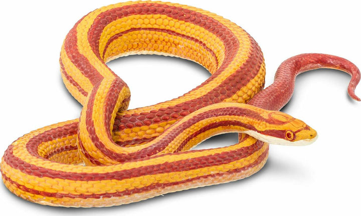 Corn Snake Toy