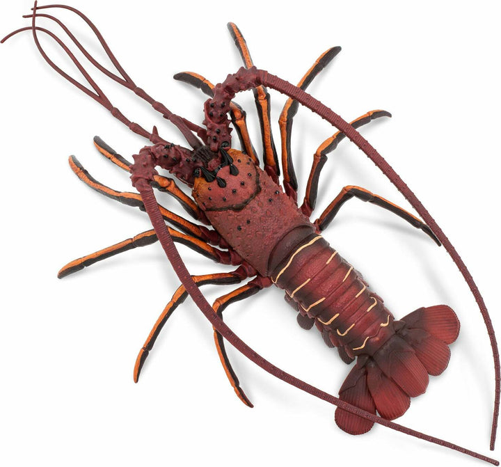 Spiny Lobster Toy
