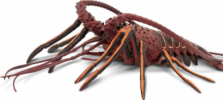 Spiny Lobster Toy