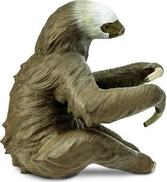 Two-Toed Sloth Toy