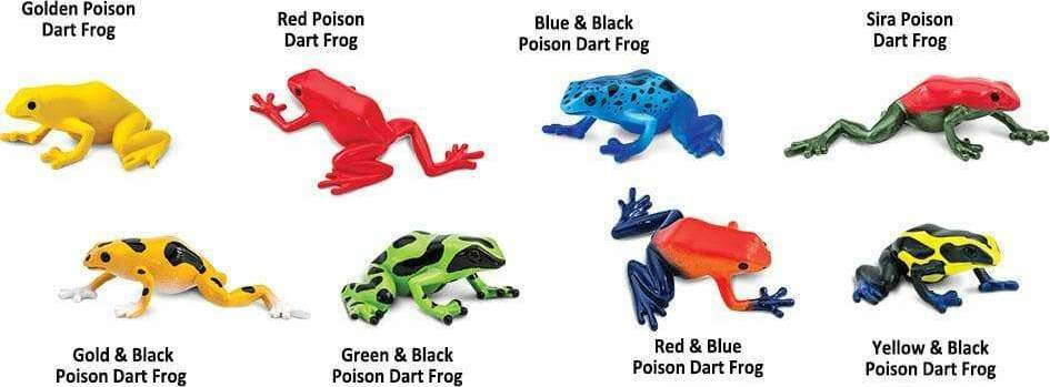 Poison Dart Frogs TOOB®