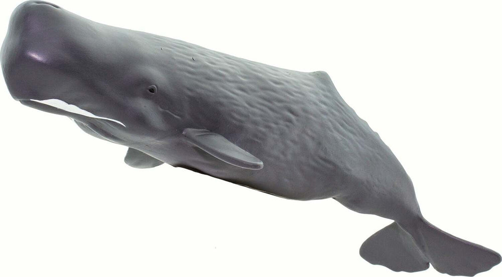 Sperm Whale Toy