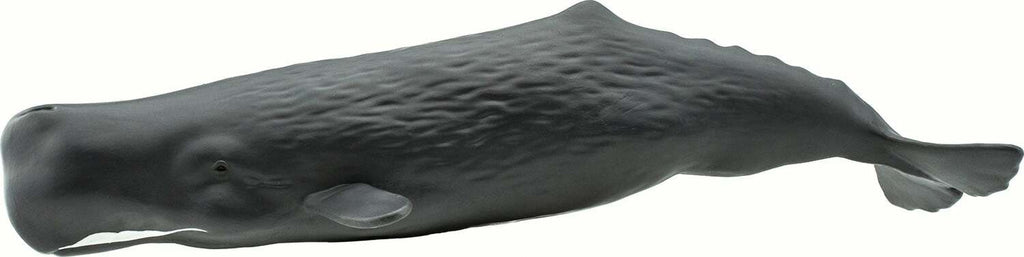 Channel Islands Surfboards / Sperm Whale スパームホエール