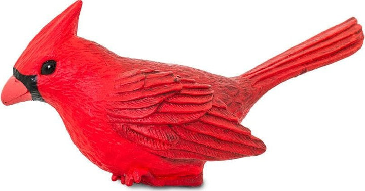 Cardinal Toy