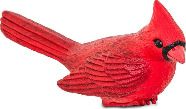 Cardinal Toy