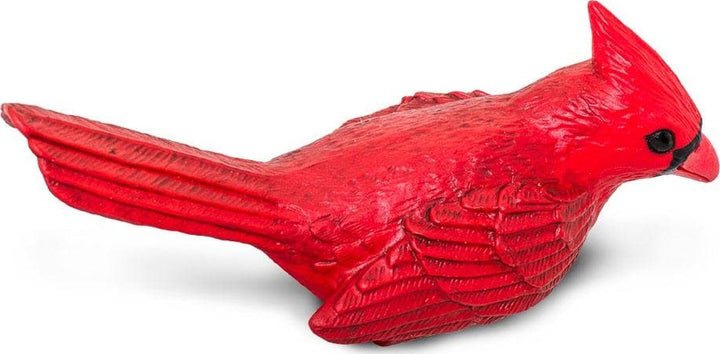 Cardinal Toy