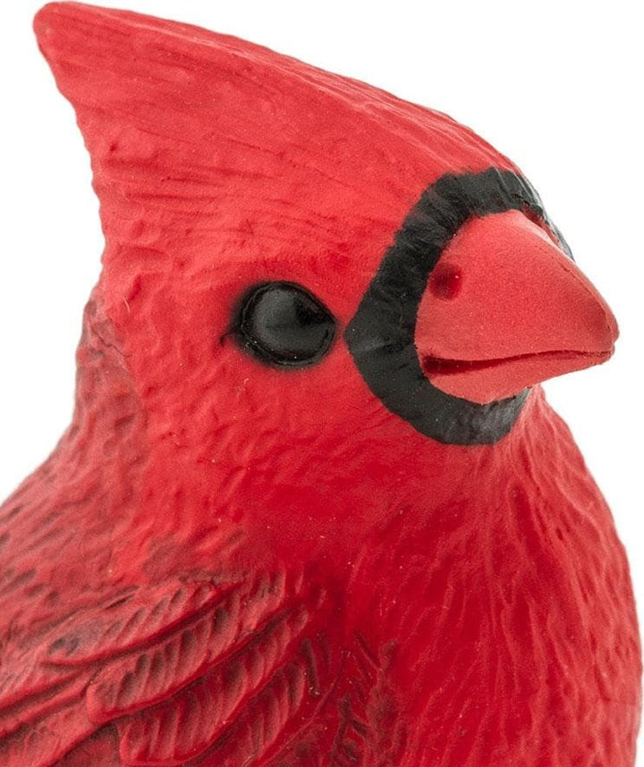 Cardinal Toy