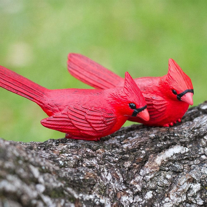 Cardinal Toy