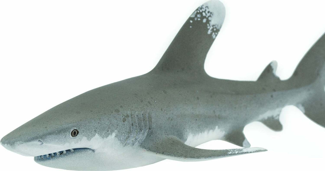 Oceanic Whitetip Shark Toy
