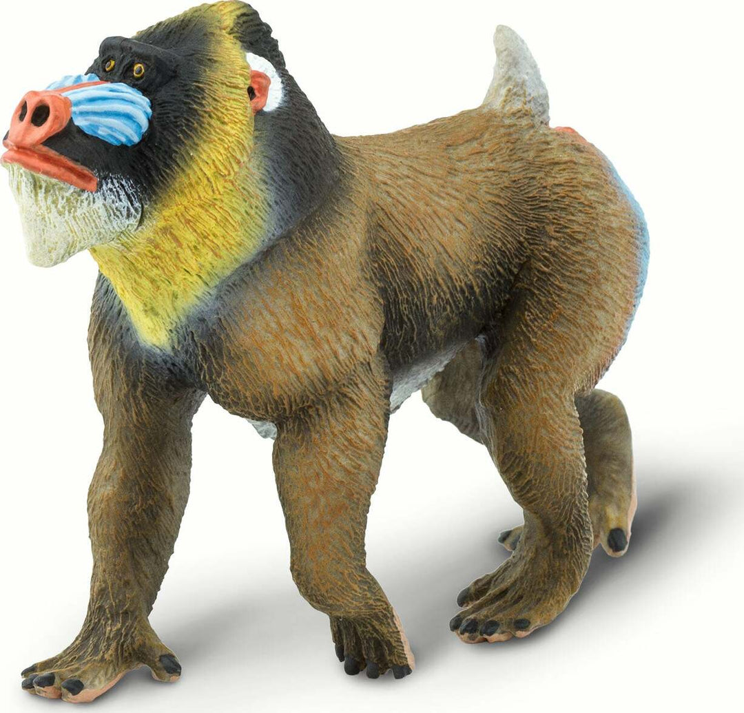 Mandrill Toy