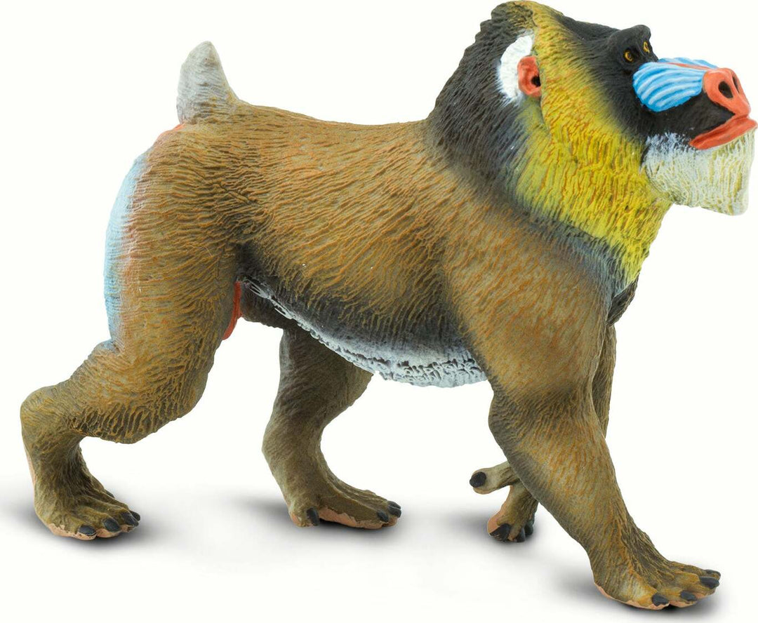 Mandrill Toy