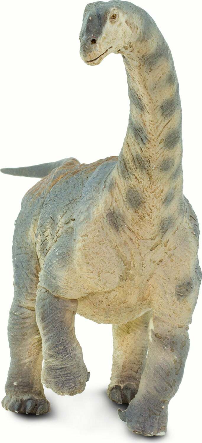 Camarasaurus Toy