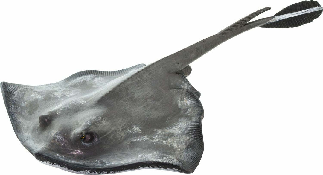 Sting Ray Toy