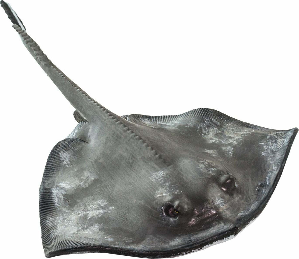 Sting Ray Toy