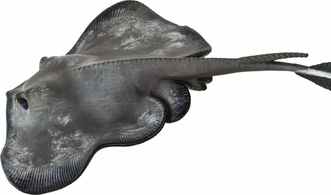 Sting Ray Toy