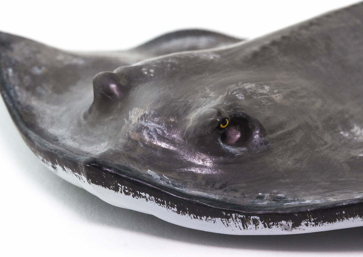 Incredible Creature Sting Ray Toy – Stevenson's Toys & Games