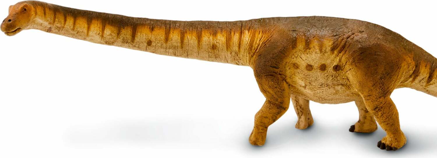 Dinosaur Patagotitan – Stevenson's Toys & Games Dinosaur Patagotitan – Stevenson's Toys & Games