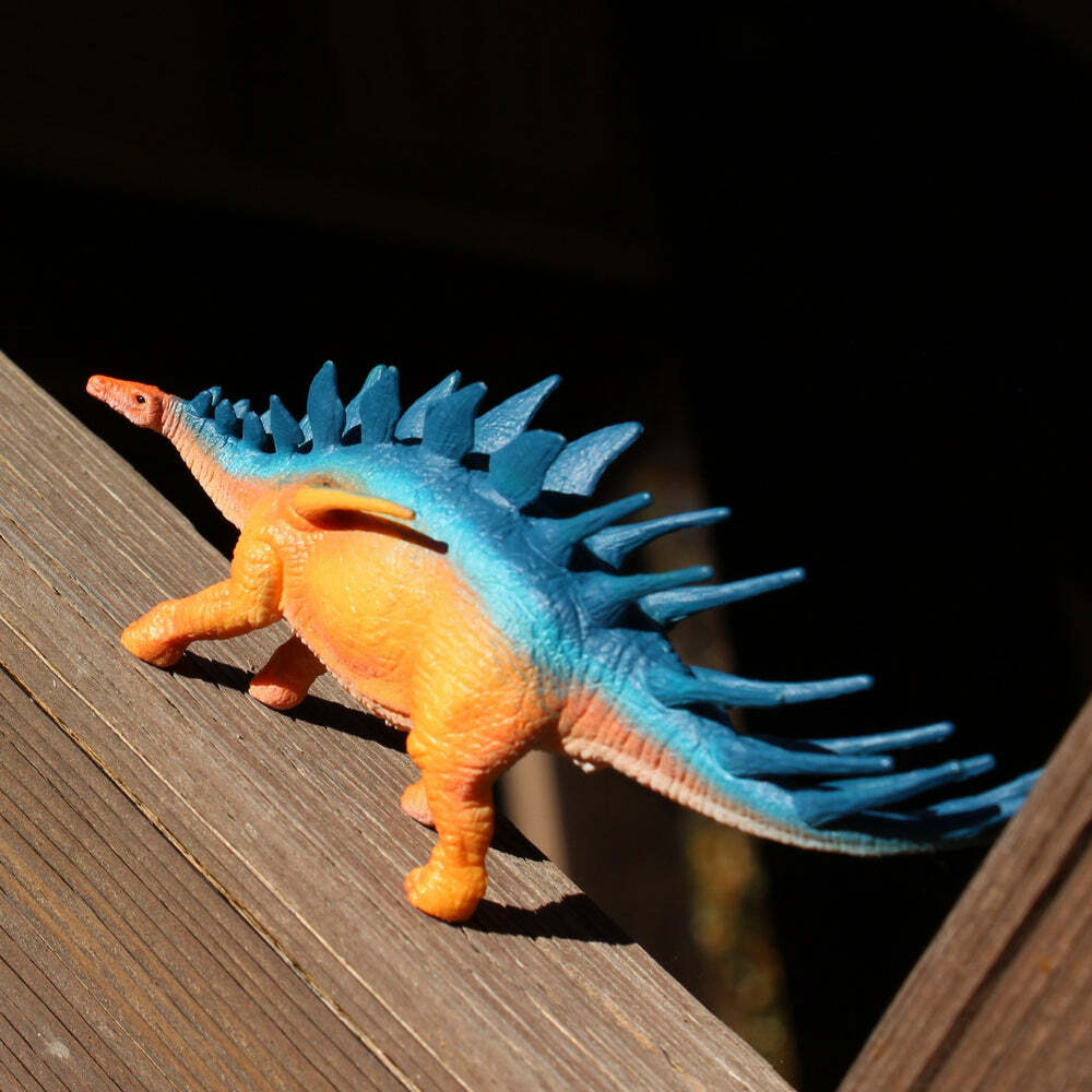 Kentrosaurus Toy