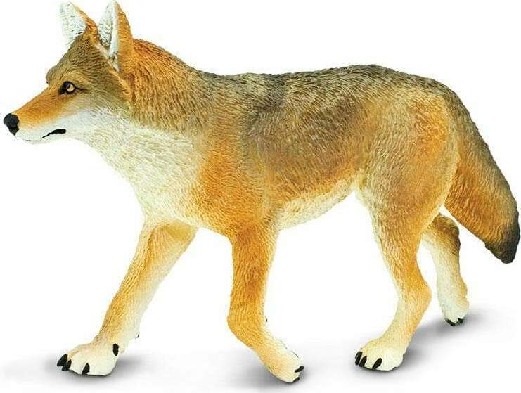 Coyote Toy