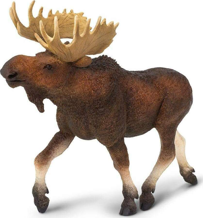Moose Toy