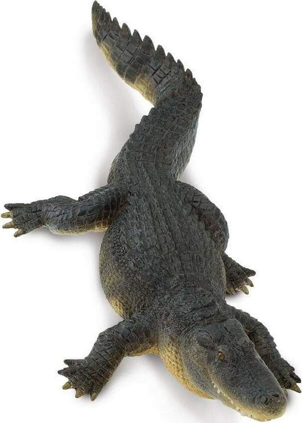 Alligator Toy