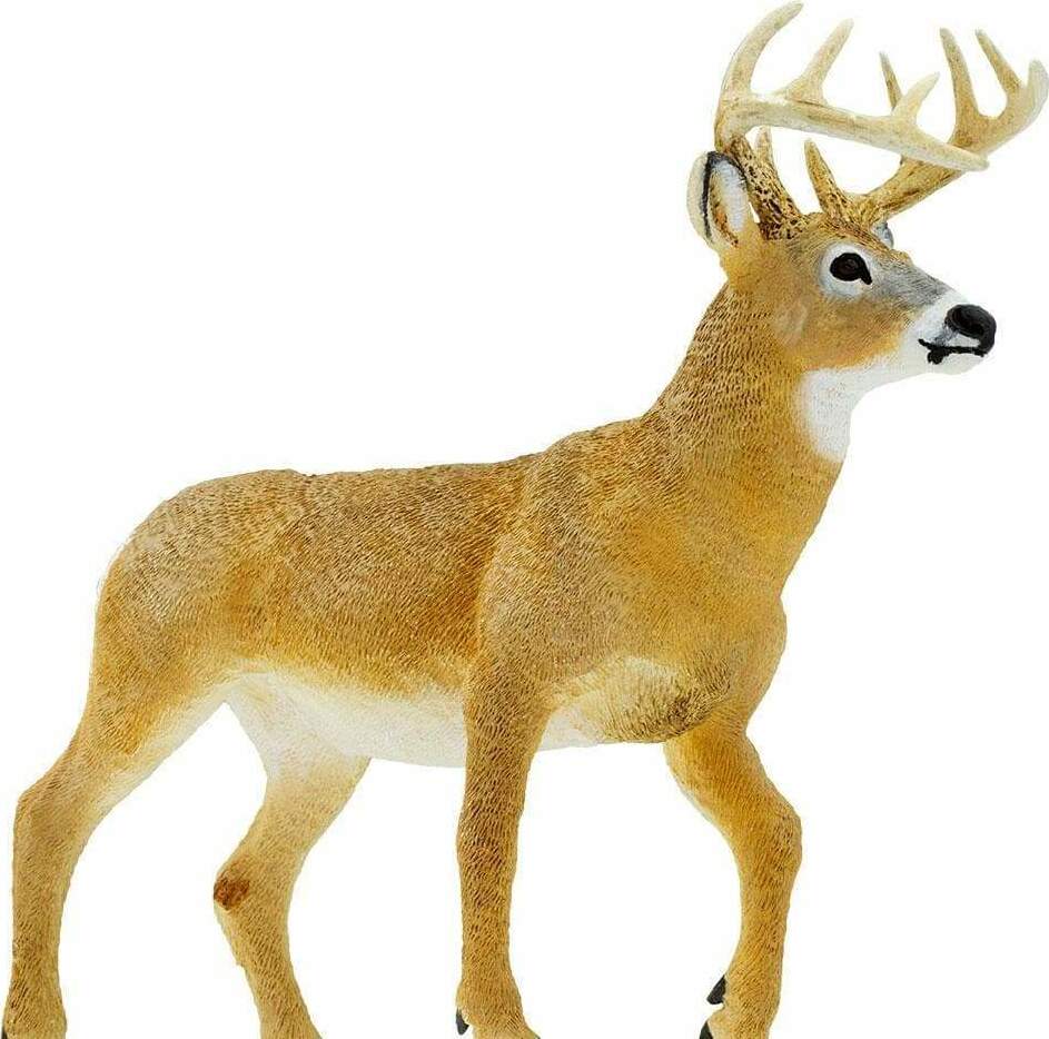 Whitetail Buck Toy