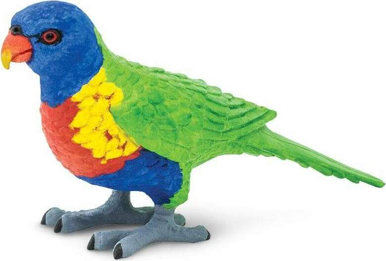 Lorikeet Toy