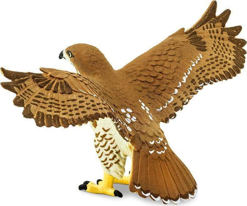 Red-Tailed Hawk Toy