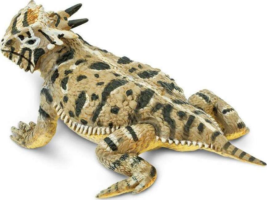 Horned Lizard Toy