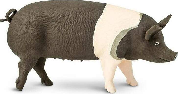 Hampshire Pig Toy