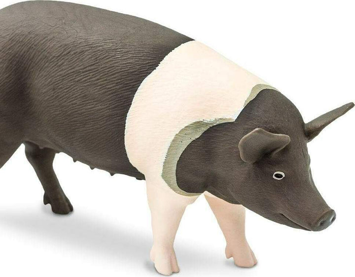 Hampshire Pig Toy