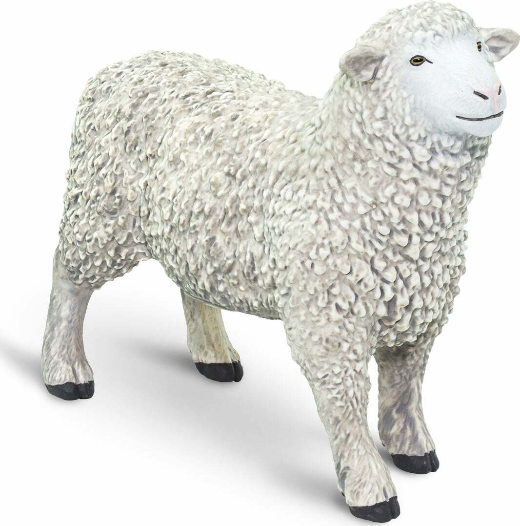 Farm Sheep – Stevenson's Toys & Games