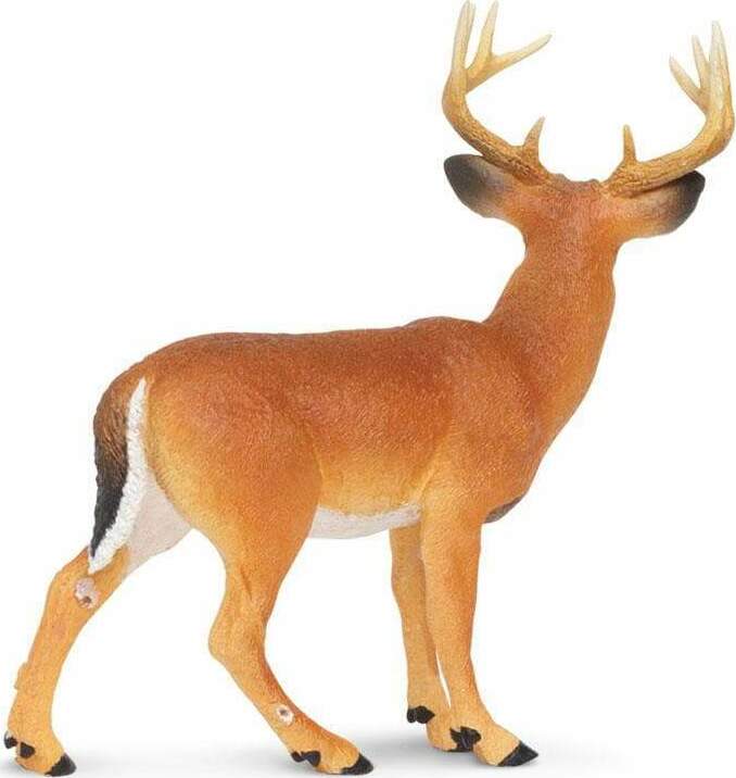 Whitetail Buck Toy