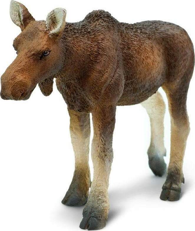 Cow Moose Toy