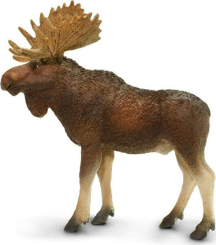 Bull Moose Toy