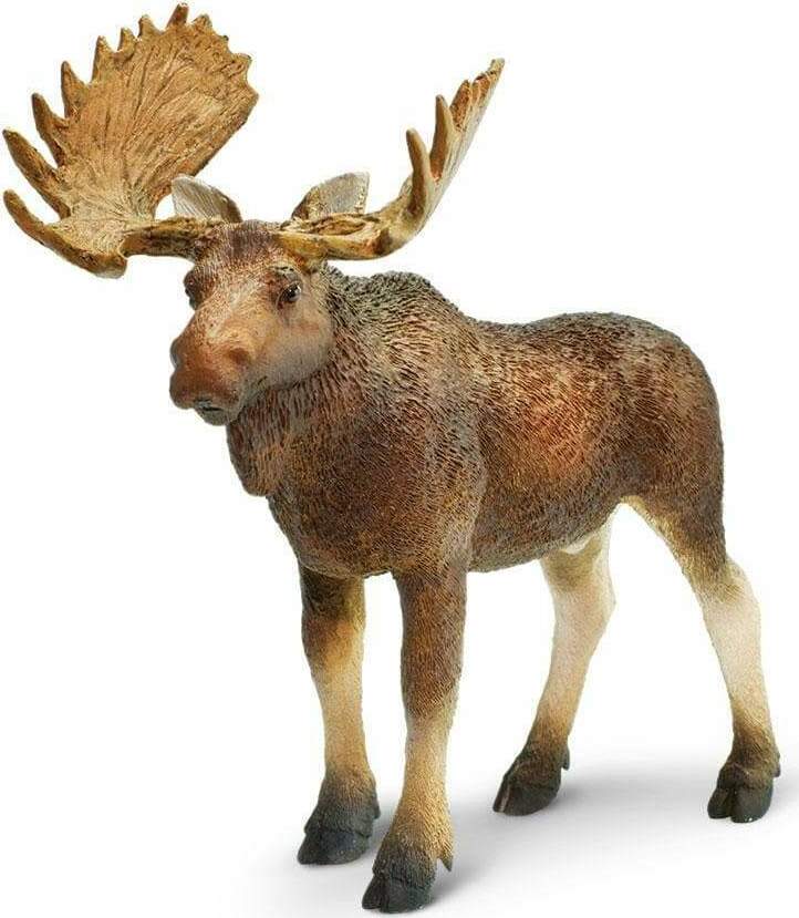 Bull Moose Toy