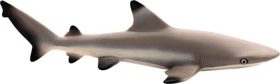 Blacktip Reef Shark Toy