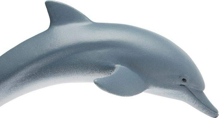Dolphin Toy