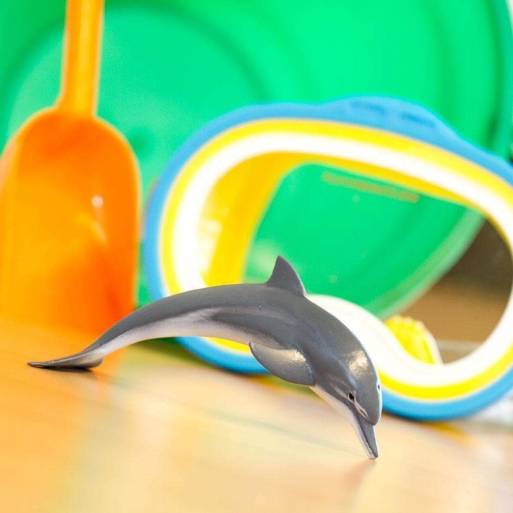 Dolphin Toy