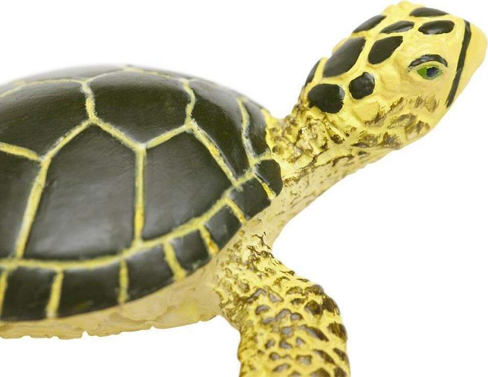 Green Sea Turtle Baby Toy