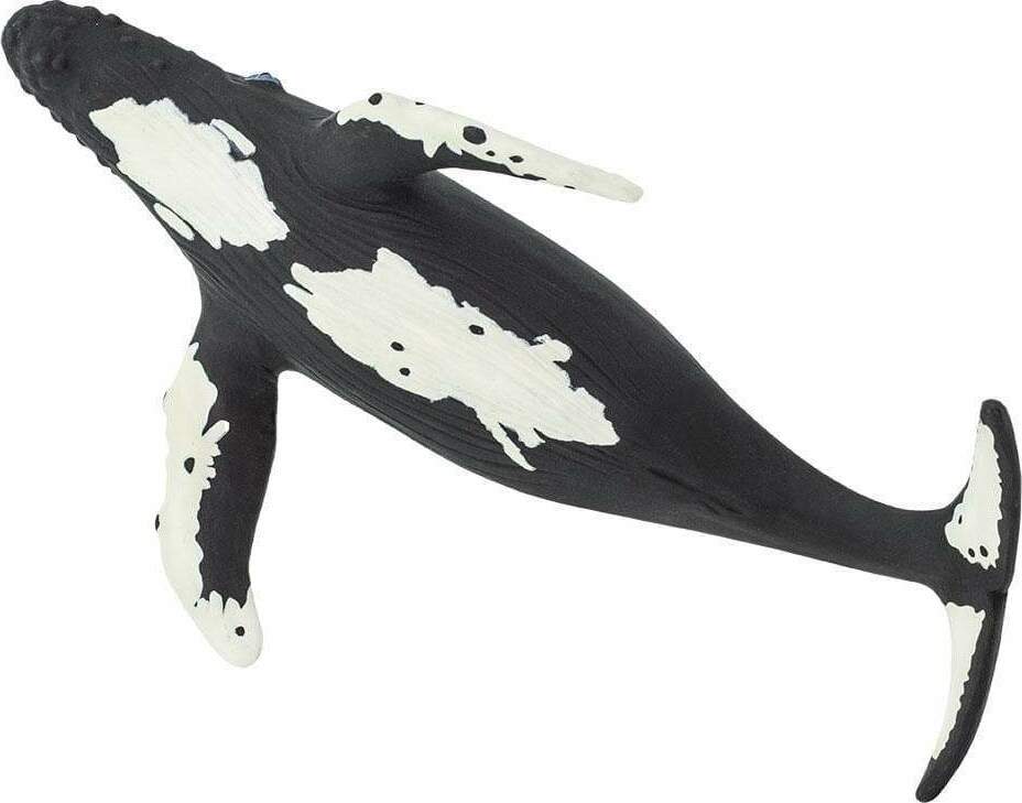 Humpback Whale Toy