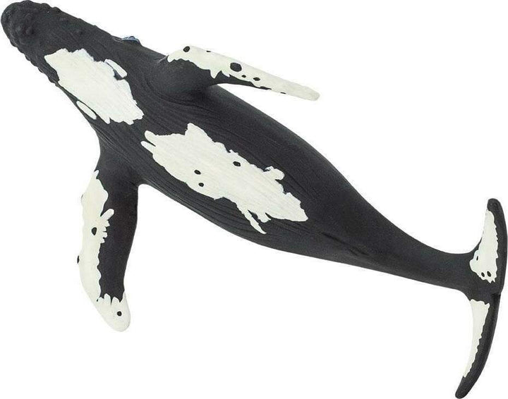 Humpback Whale Toy