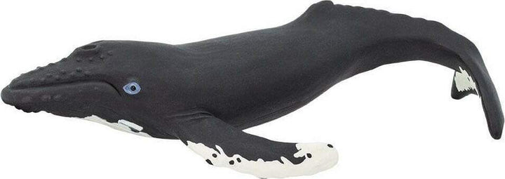Humpback Whale Toy