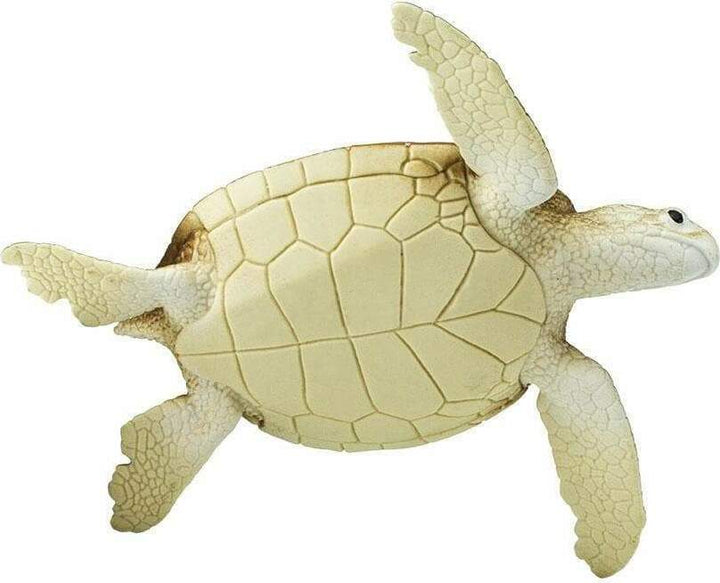 Green Sea Turtle Toy