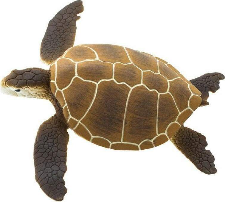 Green Sea Turtle Toy