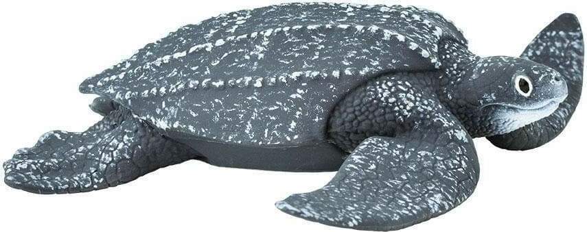 Leatherback Sea Turtle Toy