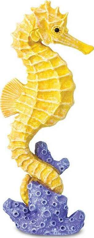 Seahorse Toy