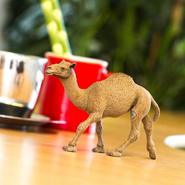 Dromedary Camel Toy