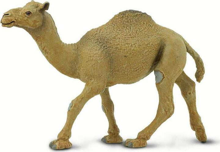 Dromedary Camel Toy